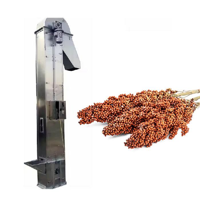 Bucket Elevator for Sorghum