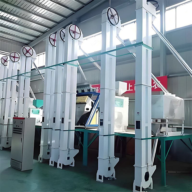 Bucket elevator for Rice Mill