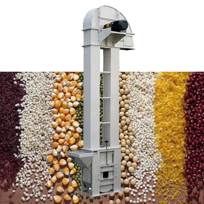 Vertical Bucket Elevator for Grain