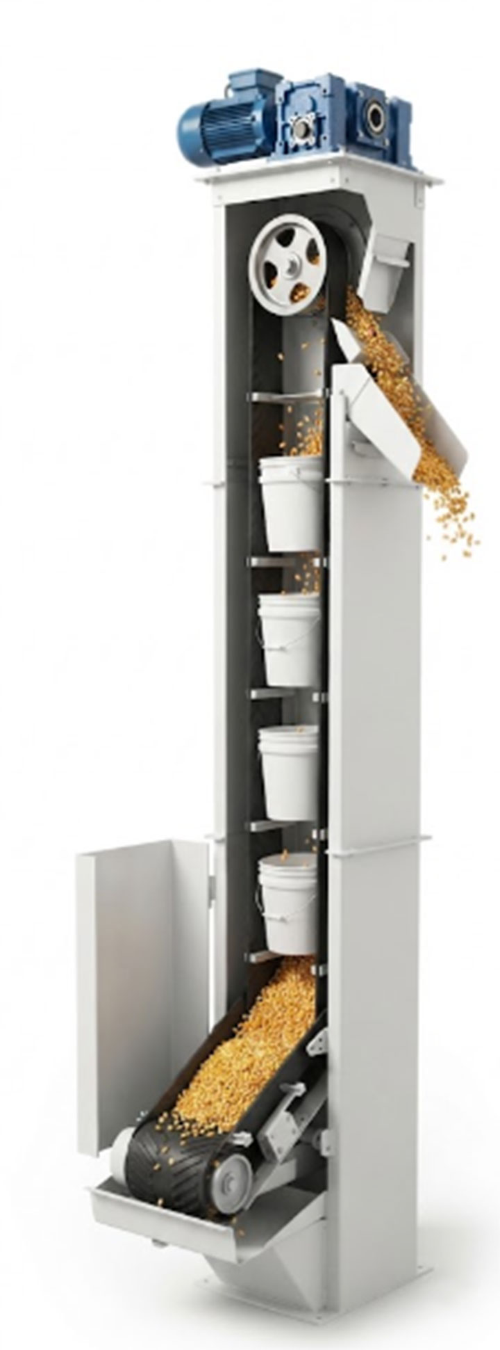 Cutaway 3D rendering showing the working principle of a grain bucket elevator, including bottom boot intake, vertical casing, and centrifugal head discharge of corn kernels.