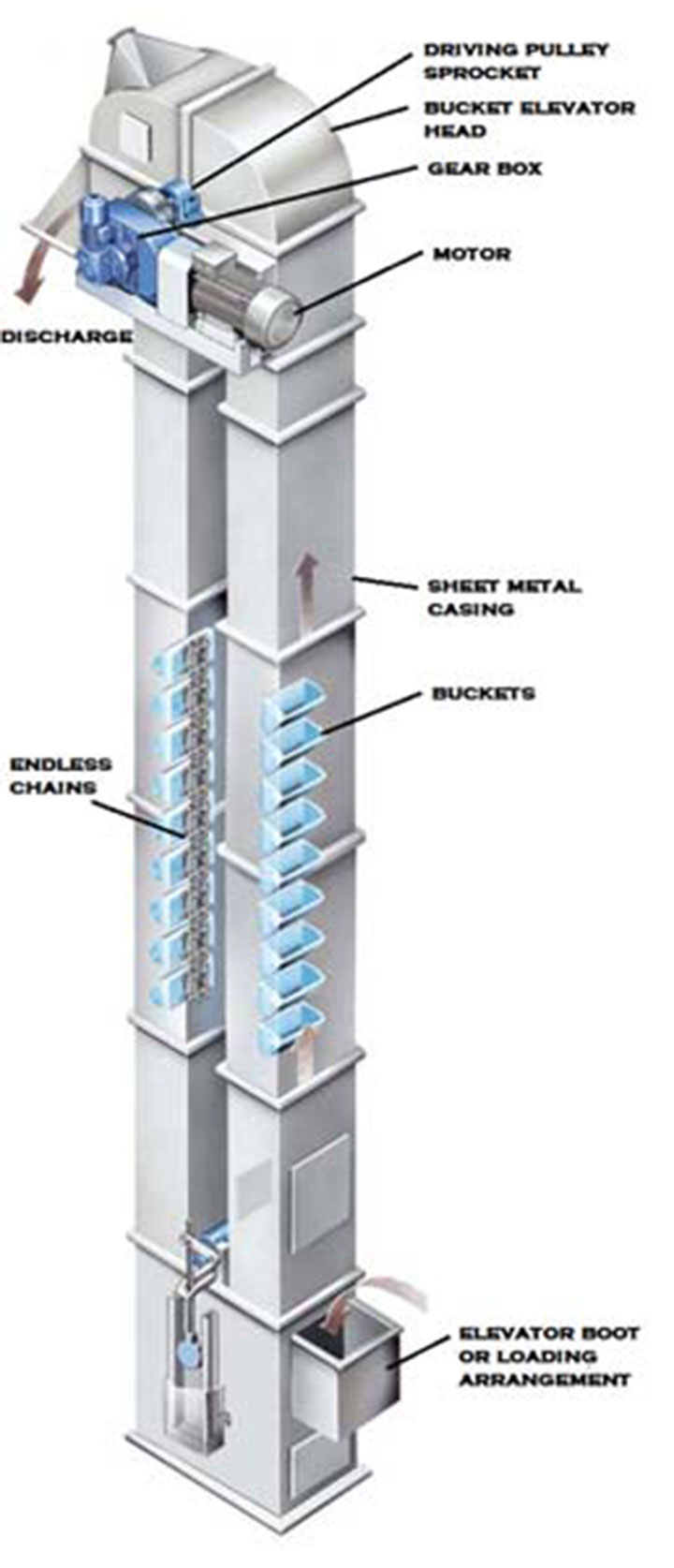 High-strength belts and wear-resistant buckets inside the boot section of a structural grain bucket elevator.