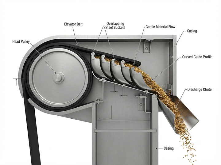 3D engineering cross-section of continuous discharge bucket elevator featuring overlapping buckets and gentle material flow